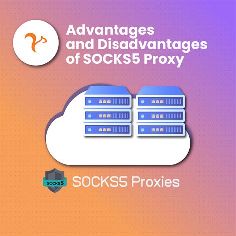 Whats A Socks Proxy Definition And Function Netnut