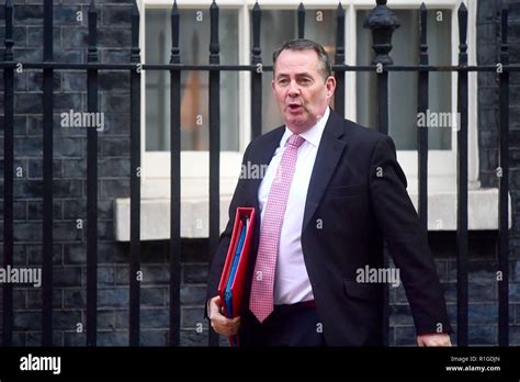 International Trade Secretary Liam Fox Arrives In Downing Street