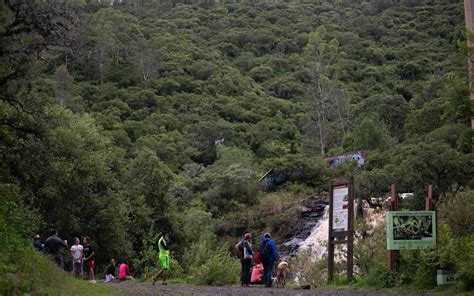 Para hacer la zona más segura darán mantenimiento a Filtros Viejos de