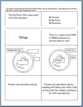 Results For Parasites Diseases Tpt