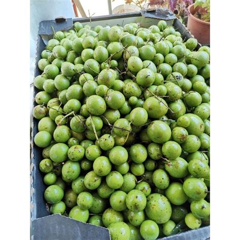 🔥 Hot Deals 🔥 Buah Star Buah Kundang Kecil Beli 1kg Free 200g Ready