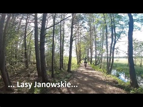 Odc Park Krajobrazowy Lasy Janowskie Youtube