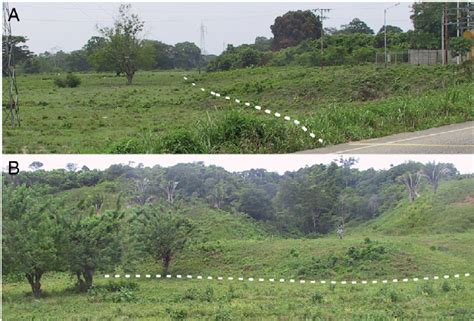 Examples of youthful fault scarps along the northwestern fl ank of the ...