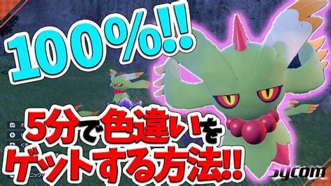 【色違い】5分放置するだけで100％ハバタクカミの色違いをゲットする方法が天才すぎる【ポケットモンスターsv】 Youtube