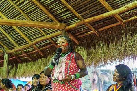 Exemplo Casa Ninja Amazônia