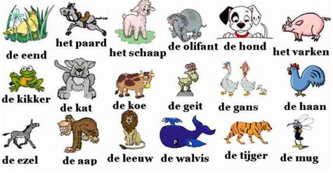 Animals - game - Dutch