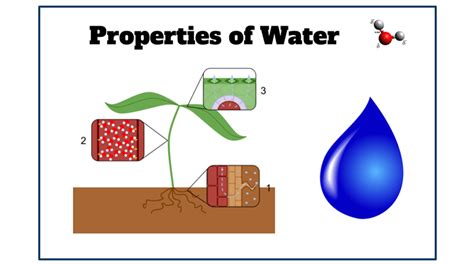 Properties Of Water Poster