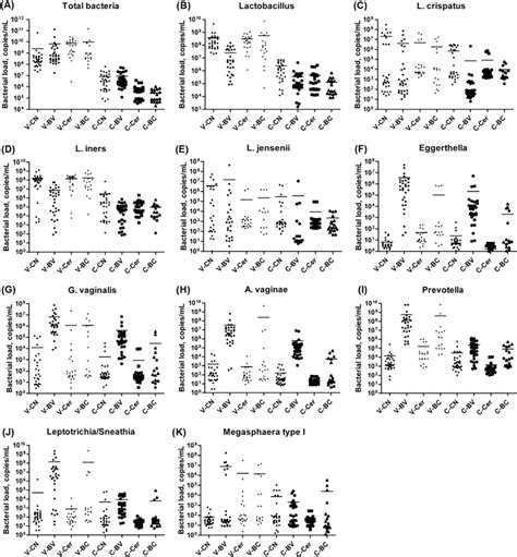 Number Of Bacteria In Cervicovaginal Swabs Collected From Bv And