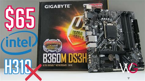 Gigabyte B M Ds H Overview Mejor Precio Rendimiento Youtube