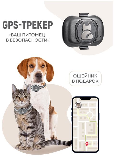 Gps Трекер Ошейник Для Собак И Кошек Домашних Кошачий Локатор ...