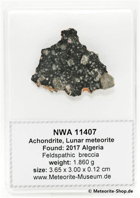 Nwa 11407 Mond Meteorit 1860 G Kaufen Decker Meteorite Shop