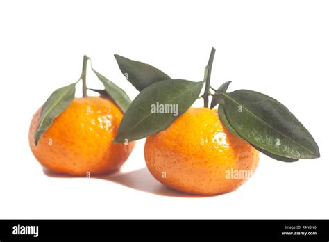 Ripe Mandarins With Green Leaves Isolated On White Background Stock