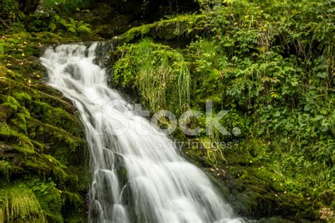 Peaceful Waterfall Stock Photo | Royalty-Free | FreeImages