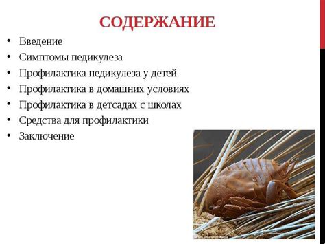 Профилактика педикулеза - презентация, доклад, проект скачать
