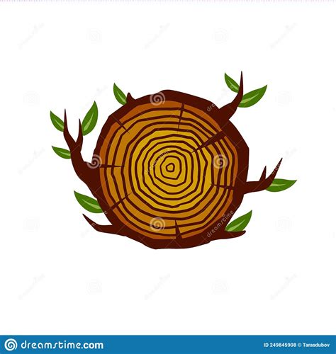 Cut Tree Trunk Stump Cross Section Concentric Circular Pattern On