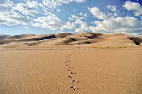 Man Walks Across Desert Towards Sand Dunes Leaving Distinct Footprints