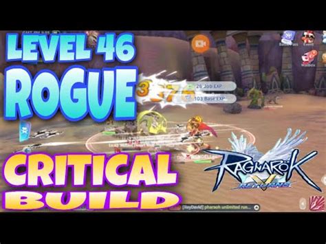 Ragnarok V Rogue Critical Build Equipment Cards Stat Skill