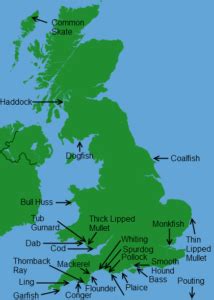 UK Record Fish Catches | British Sea Fishing