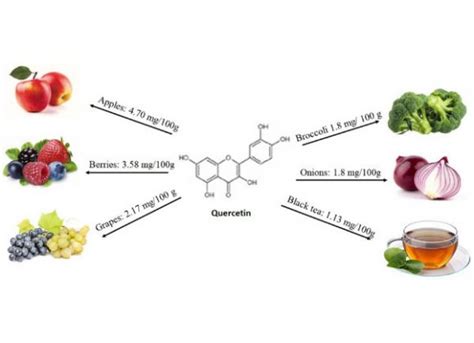 🔥 How Effective Is Quercetin For Supporting Healthy Inflammatory