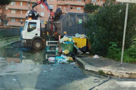 Pomezia Iniziata La Rimozione Dei Rifiuti In Via Fellini L Intervento