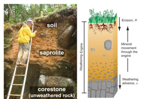 Lecture Weathering Soils Flashcards Quizlet