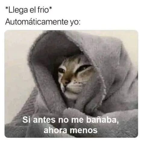 Meme Gato Meme Subido Por Xtrameme Memedroid