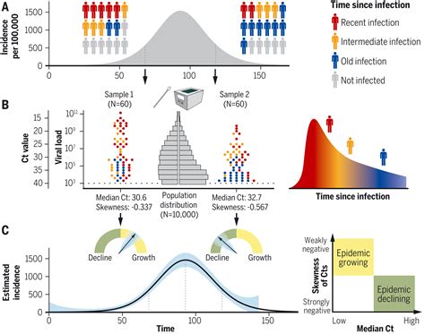 Estimating Epidemiologic Dynamics From Cross Sectional Viral Load