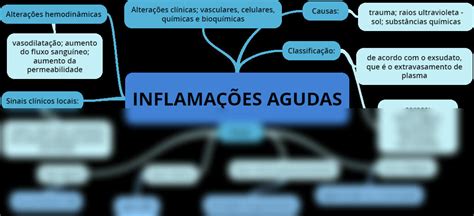 Solution Inflama O Aguda Studypool