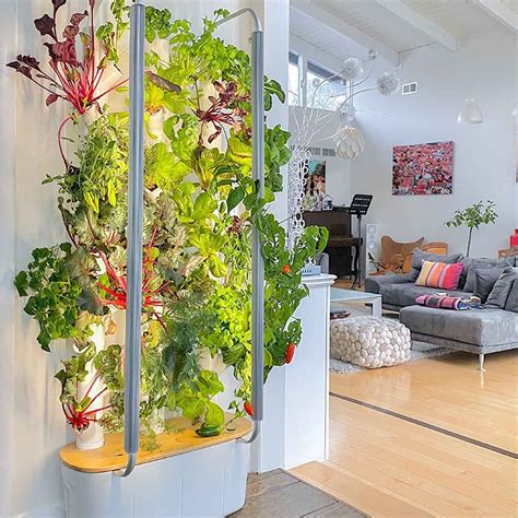 The Best Hydroponic Garden Kits Artofit