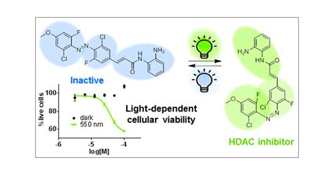 Visible Light Controlled Histone Deacetylase Inhibitors For Targeted