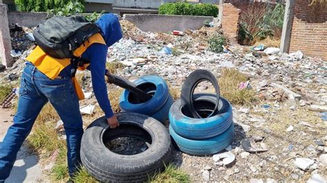 SSG Se Suma A La Lucha Internacional Contra El Dengue T Informa Noticias