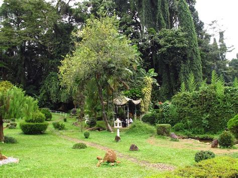 Premium Photo | Royal botanical gardens, kandy, sri lanka