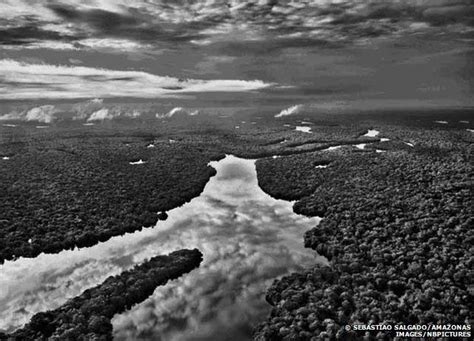 Sebastiao Salgado's Genesis project Most Famous Photographers ...