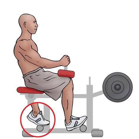 Seated Calf Raise Muscles Worked | Cabinets Matttroy