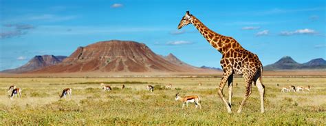 Africa Do Sul Em Janeiro - Férias de janeiro na África do Sul - Agência Aventureiros
