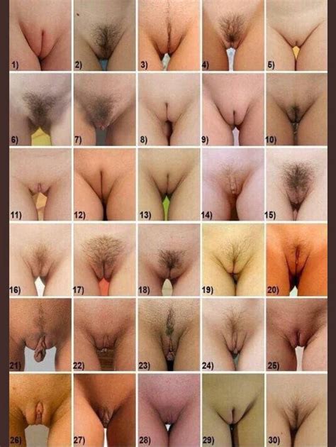 Types Of Pussy Pictures