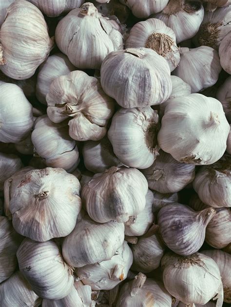 bawang putih bawang putih makanan olahan bawang