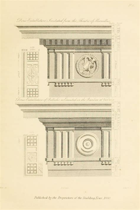 What Has The Doric Column In Common With A Man Architecture History