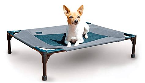 Top 6 Best Durable Chew Proof Dog Beds That Actually Work