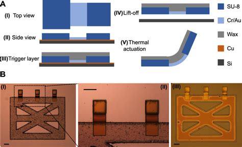 A Fabrication Schematics I Top View And Ii Sideview Of Residual