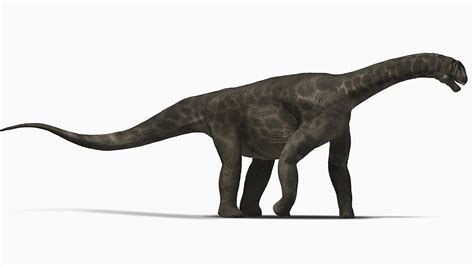 Sauropods grew big by munching ‘superfoods' with sturdy beaks | Science ...