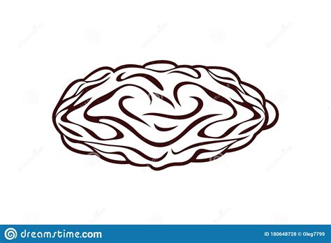 Contorno De Data De Fruta Frutos De Data Isolados Em Fundo Branco