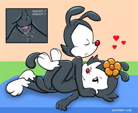 Rule 34 2008 8horns Animaniacs Black Fur Color Cum Dot Warner Female