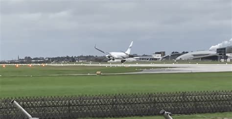 Watch a Crazy Crosswind Wreak Havoc on a 737's Landing