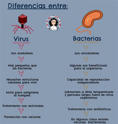 Diferencias Entre Virus Y Bacterias ¿qué Son Los Viurs Y Las Bacterias