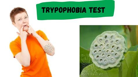 Trypophobia Test