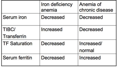 Hematology Flashcards Quizlet