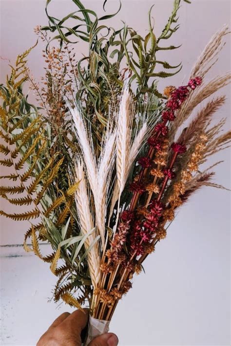 Plantas Secas Veja Como Desidratar Flores E Folhas Em Casa Artofit