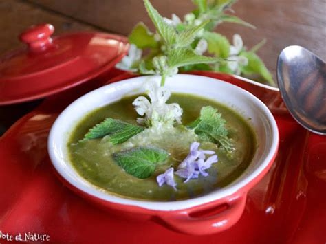 Soupe D Orties Blanches Cuisine Sauvage Recette Par Popote Et Nature