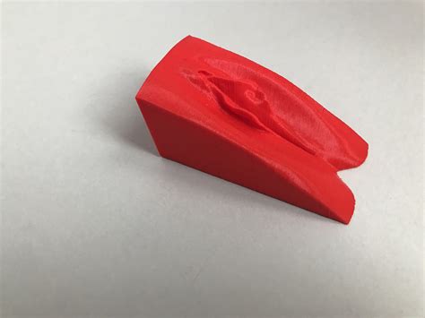 Vagina Anatomical Model For Educational Purposes Etsy